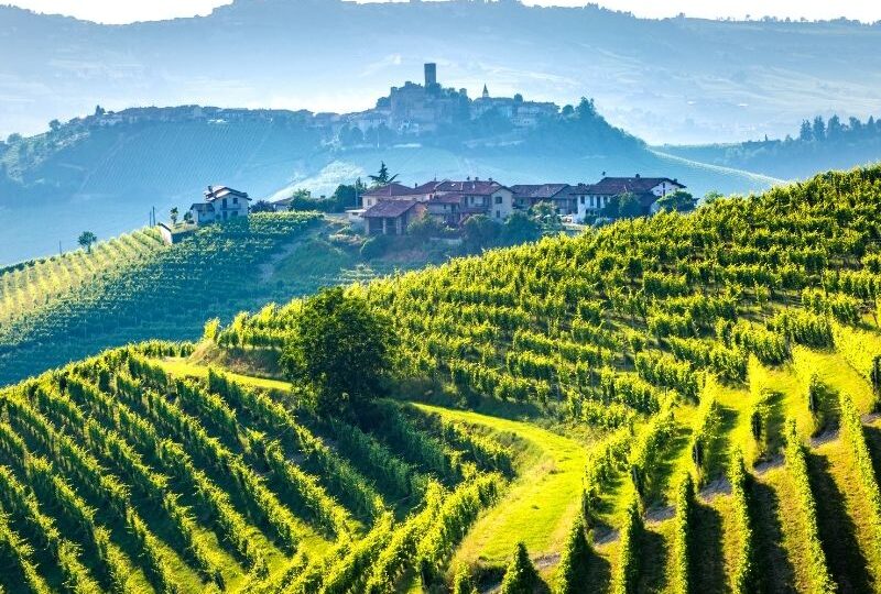 Weine aus Italien - Empfehlungen, Spezialitäten, Weinbau Gebiete - Tipps