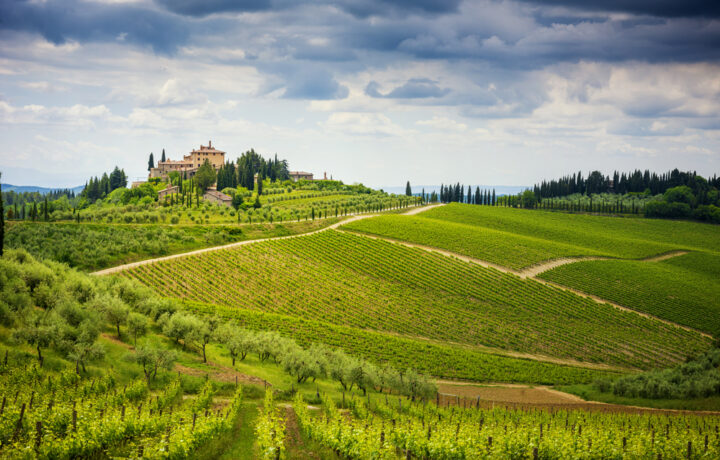 Italienische Weinbauregionen - aus diesen Regionen in Italien kommen die berühmten Weine