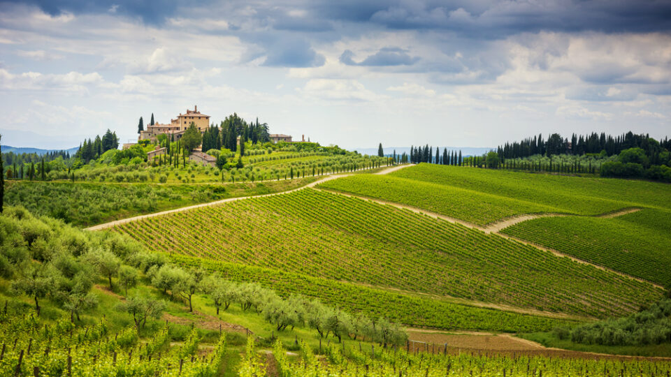 Italienische Weinbauregionen - aus diesen Regionen in Italien kommen die berühmten Weine